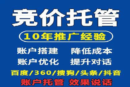 SEM服务案例：打造行业领先品牌